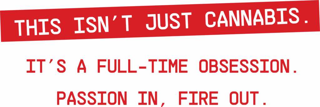 This isn't just cannabis. It's a full-time obsession. Passion in, fire out.